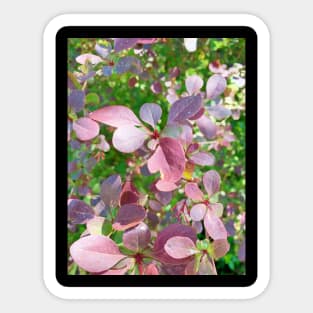 Lovely Flowers Sticker